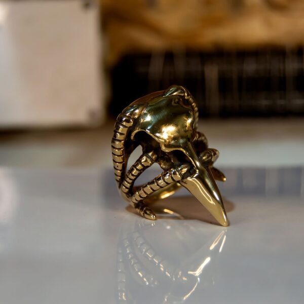 Raven Skull Ring - Dark Cast Studio