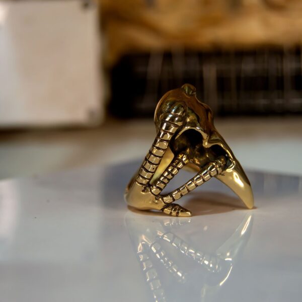 Raven Skull Ring - Dark Cast Studio