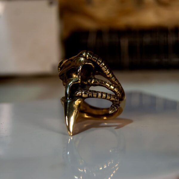 Raven Skull Ring - Dark Cast Studio