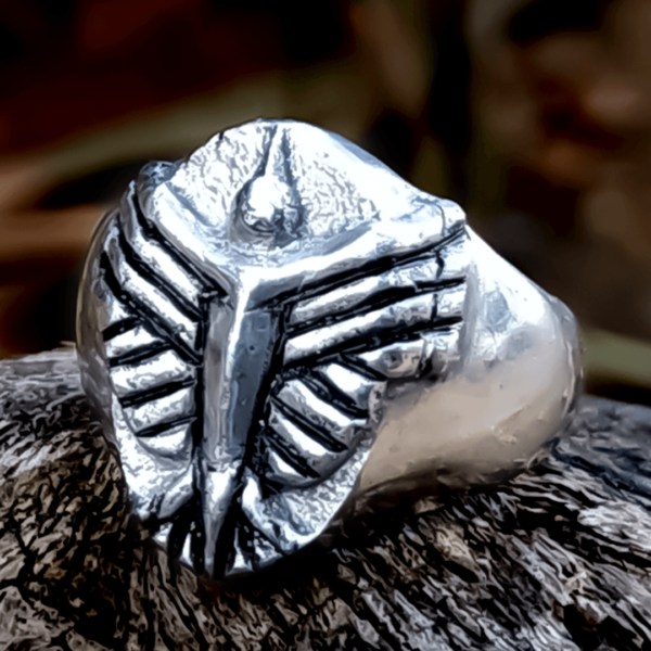 Raven Signet Ring - Dark Cast Studio